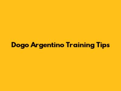 Dogo Argentino Training Tips