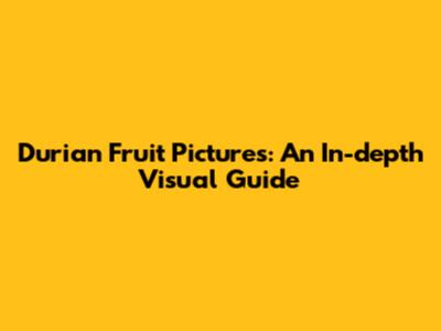 Durian Fruit Pictures: An In-depth Visual Guide