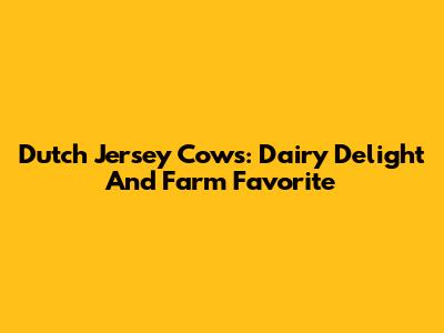 Dutch Jersey Cows: Dairy Delight And Farm Favorite