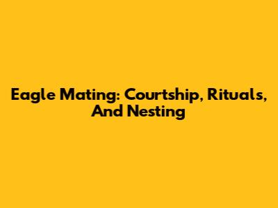 Eagle Mating: Courtship, Rituals, And Nesting