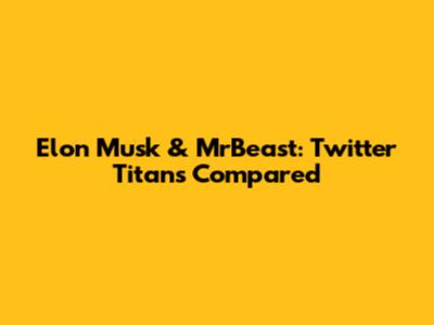 Elon Musk & MrBeast: Twitter Titans Compared
