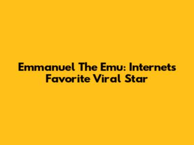 Emmanuel The Emu: Internet's Favorite Viral Star