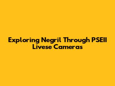 Exploring Negril Through PSEII Livese Cameras