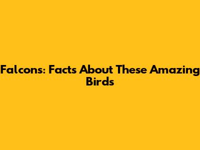 Falcons: Facts About These Amazing Birds
