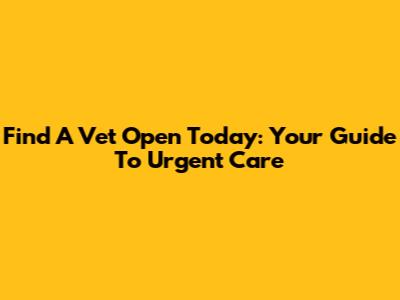 Find A Vet Open Today: Your Guide To Urgent Care