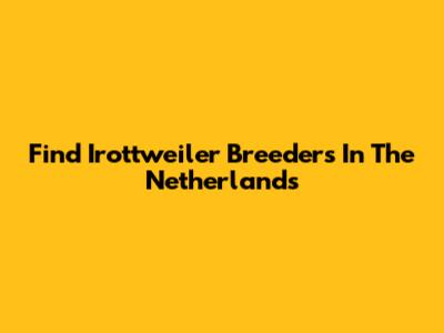 Find Irottweiler Breeders In The Netherlands