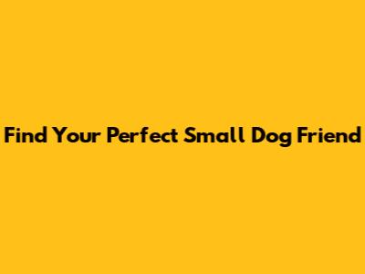 Find Your Perfect Small Dog Friend