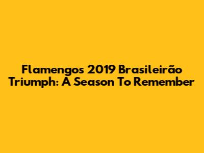 Flamengo's 2019 Brasileirão Triumph: A Season To Remember