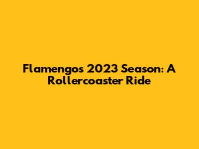 Flamengo's 2023 Season: A Rollercoaster Ride