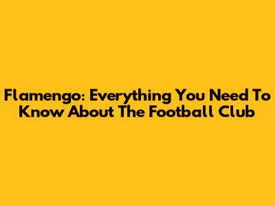 Flamengo: Everything You Need To Know About The Football Club
