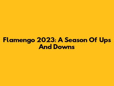 Flamengo 2023: A Season Of Ups And Downs