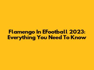 Flamengo In EFootball 2023: Everything You Need To Know