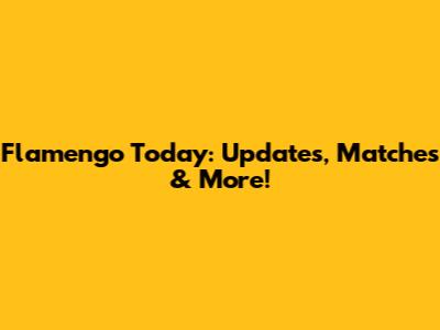 Flamengo Today: Updates, Matches & More!