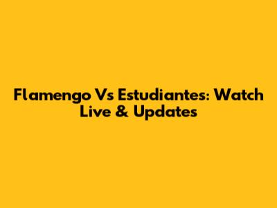 Flamengo Vs Estudiantes: Watch Live & Updates