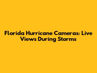 Florida Hurricane Cameras: Live Views During Storms