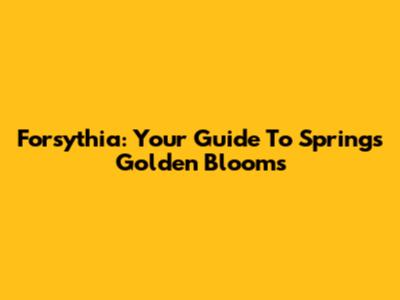 Forsythia: Your Guide To Spring's Golden Blooms