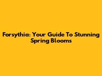 Forsythia: Your Guide To Stunning Spring Blooms