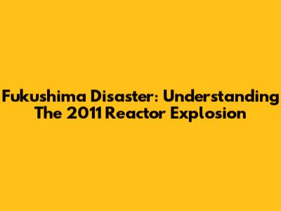 Fukushima Disaster: Understanding The 2011 Reactor Explosion