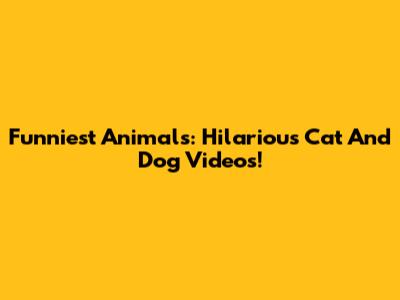 Funniest Animals: Hilarious Cat And Dog Videos!