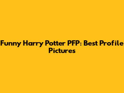 Funny Harry Potter PFP: Best Profile Pictures