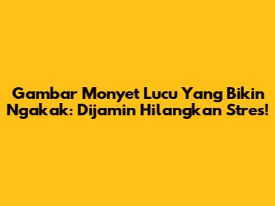Gambar Monyet Lucu Yang Bikin Ngakak: Dijamin Hilangkan Stres!