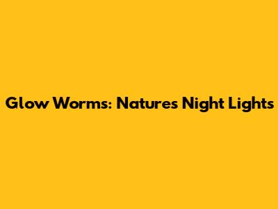 Glow Worms: Nature's Night Lights