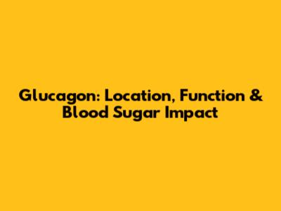 Glucagon: Location, Function & Blood Sugar Impact