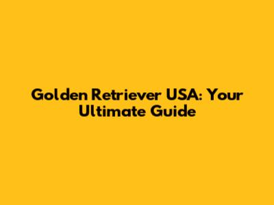 Golden Retriever USA: Your Ultimate Guide