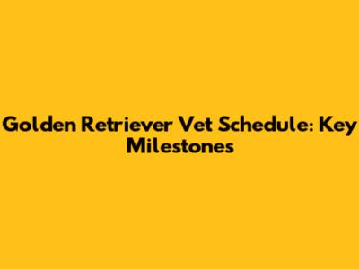 Golden Retriever Vet Schedule: Key Milestones
