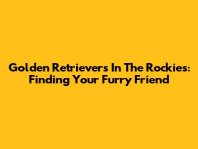 Golden Retrievers In The Rockies: Finding Your Furry Friend