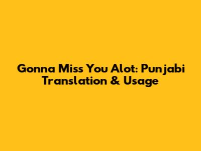 Gonna Miss You Alot: Punjabi Translation & Usage