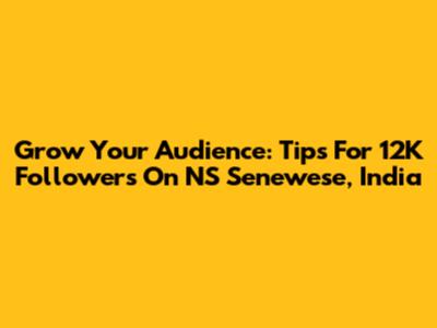 Grow Your Audience: Tips For 12K Followers On NS Senewese, India