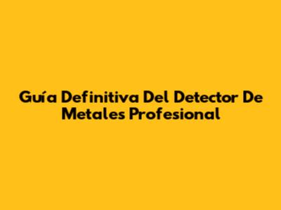 Guía Definitiva Del Detector De Metales Profesional