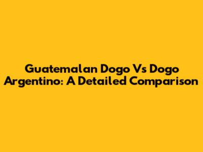 Guatemalan Dogo Vs Dogo Argentino: A Detailed Comparison