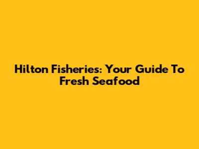 Hilton Fisheries: Your Guide To Fresh Seafood