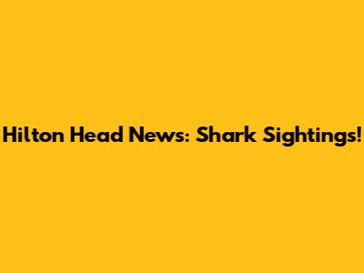 Hilton Head News: Shark Sightings!