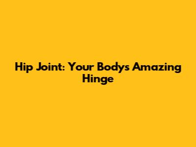 Hip Joint: Your Body's Amazing Hinge