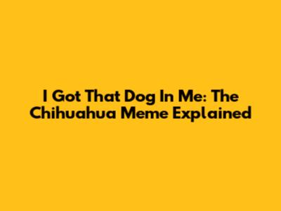 I Got That Dog In Me: The Chihuahua Meme Explained