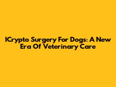 ICrypto Surgery For Dogs: A New Era Of Veterinary Care