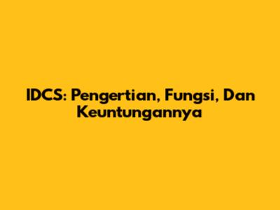 IDCS: Pengertian, Fungsi, Dan Keuntungannya