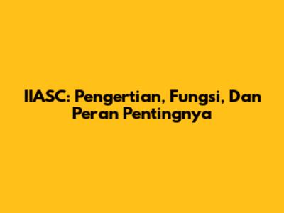 IIASC: Pengertian, Fungsi, Dan Peran Pentingnya