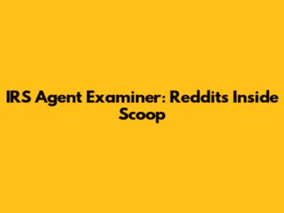 IRS Agent Examiner: Reddit's Inside Scoop