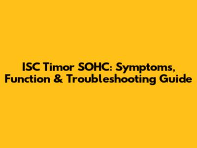 ISC Timor SOHC: Symptoms, Function & Troubleshooting Guide