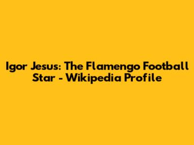 Igor Jesus: The Flamengo Football Star - Wikipedia Profile