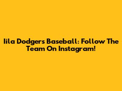 Iila Dodgers Baseball: Follow The Team On Instagram!