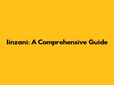 Iinzani: A Comprehensive Guide
