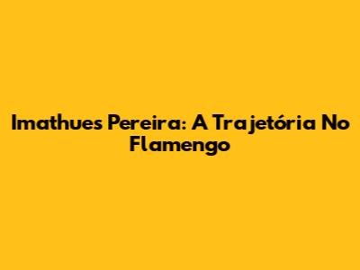 Imathues Pereira: A Trajetória No Flamengo