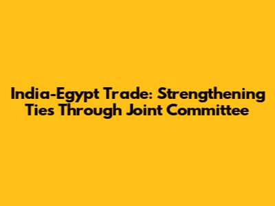India-Egypt Trade: Strengthening Ties Through Joint Committee