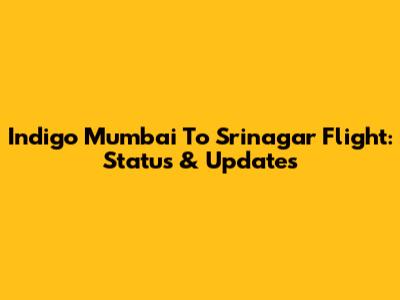 Indigo Mumbai To Srinagar Flight: Status & Updates