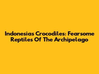 Indonesia's Crocodiles: Fearsome Reptiles Of The Archipelago